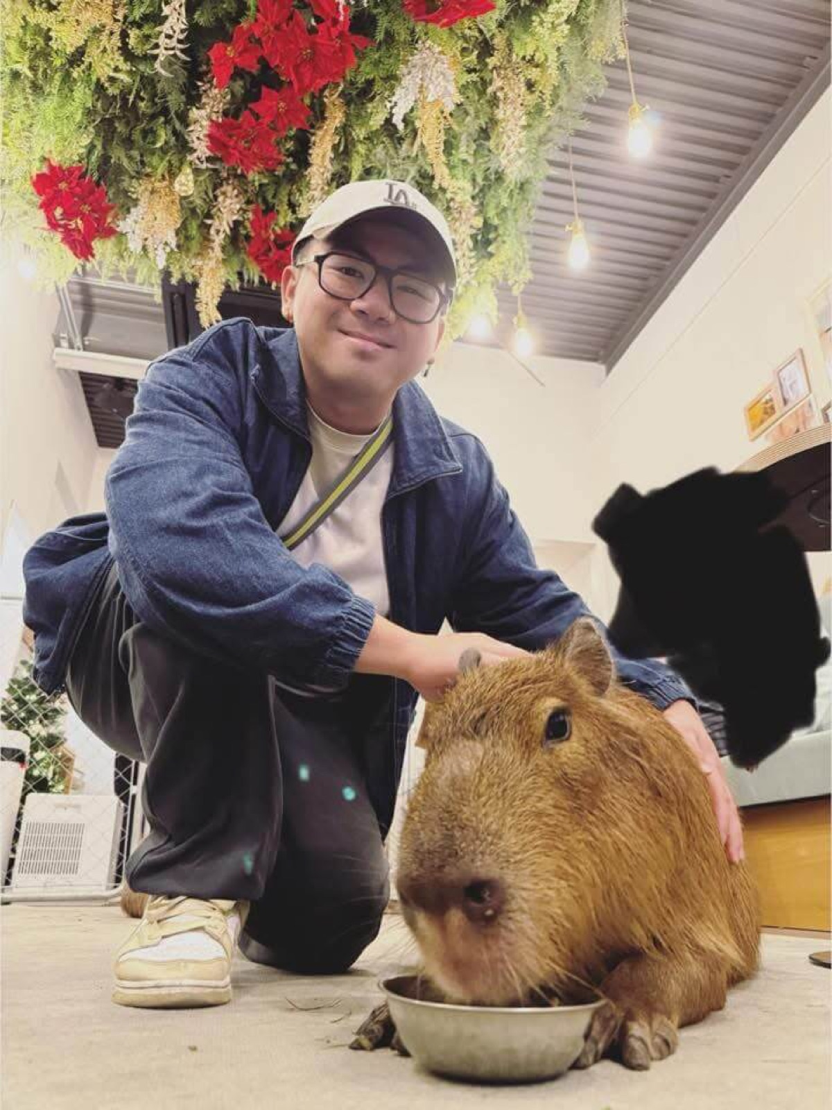 Rocky Yang visiting a capybara cafe